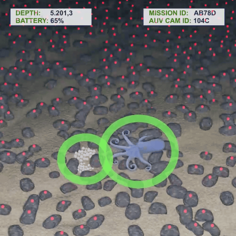 AI-guided identification